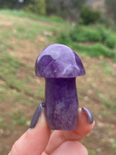 Load image into Gallery viewer, Amethyst Mushroom*