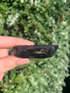 Black Tourmaline*