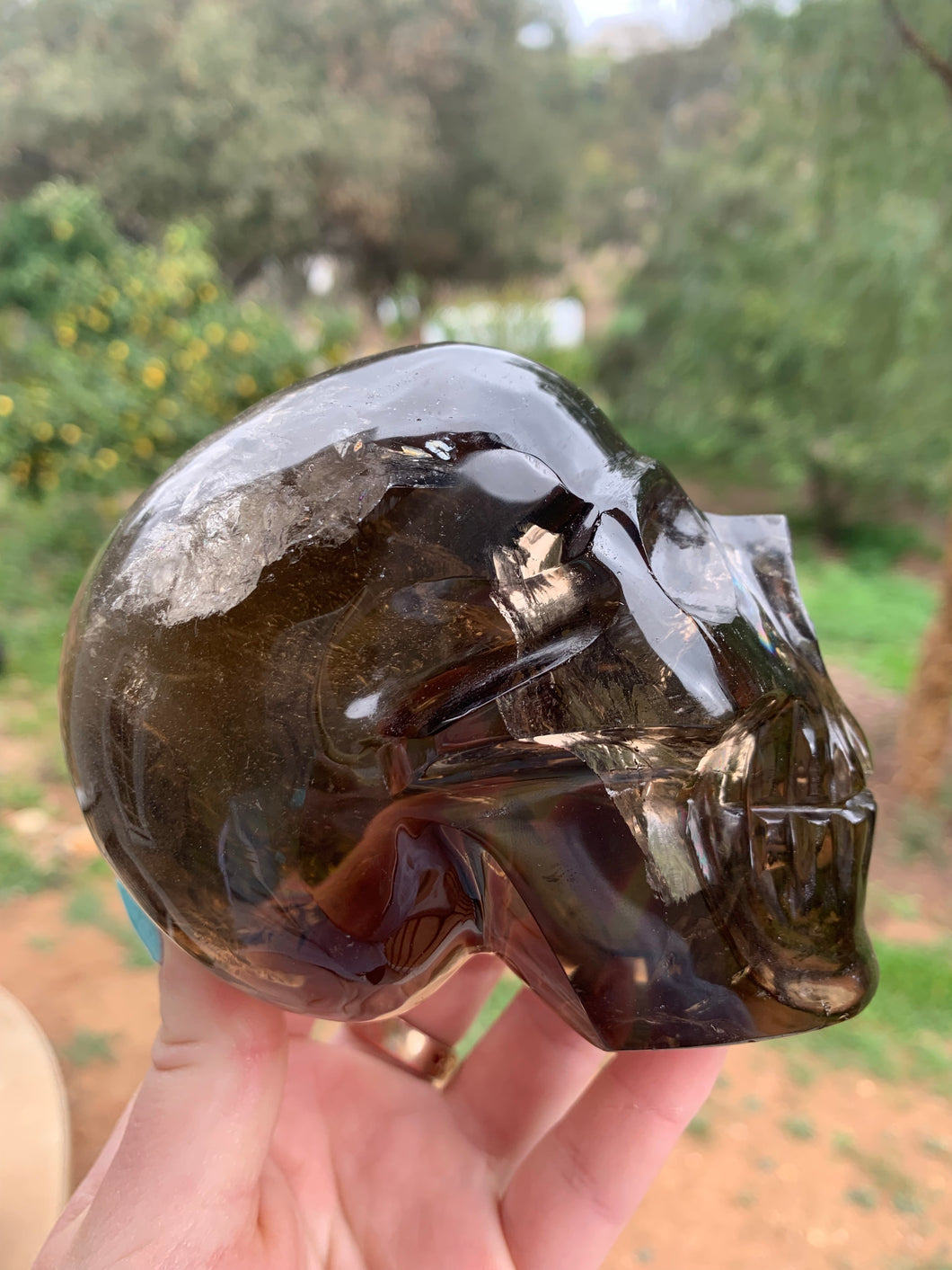 Honey Citrine Skull*