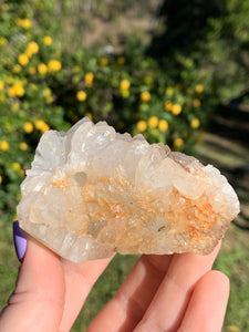 Apophyllite Standing Cluster*