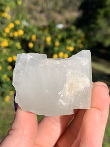 Apophyllite Cubed Standing Cluster*