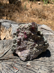 Watermelon Tourmaline in Green Mica*