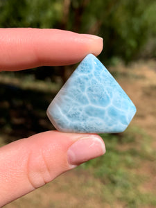 Larimar Cab*