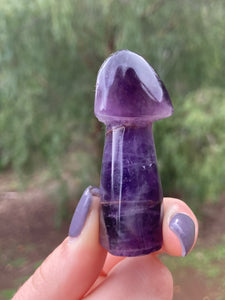 Amethyst Mushroom