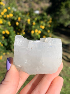 Apophyllite Cubed Standing Cluster*