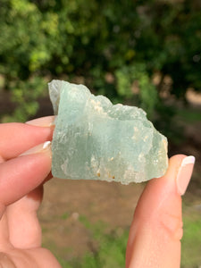 Green Beryl Rough*