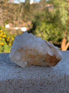 Apophyllite Standing Cluster*