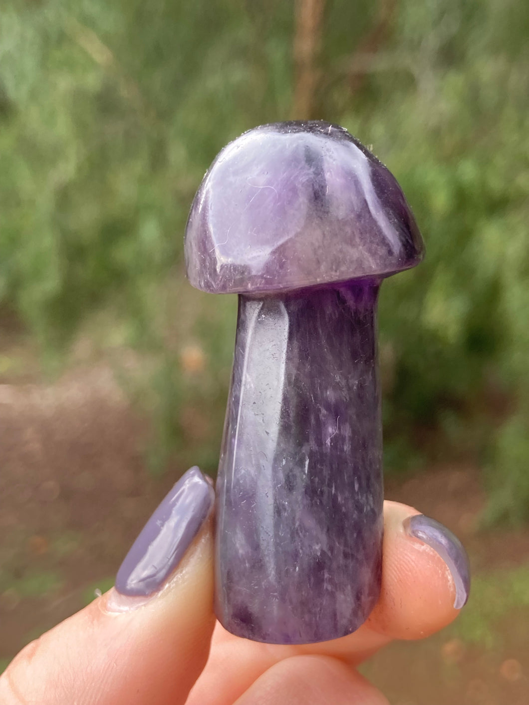 Amethyst Mushroom