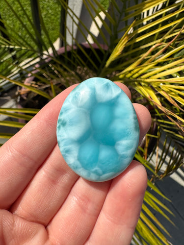 Larimar Cab*