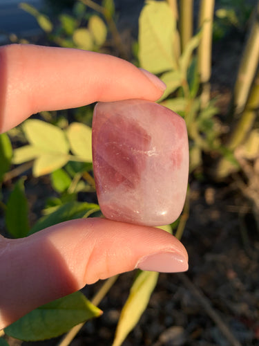 Purple Rose Quartz Tumble