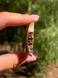 Rhodochrosite Slab*