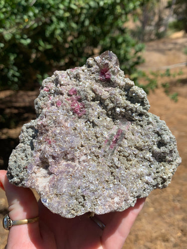 Watermelon Tourmaline in Green Mica*