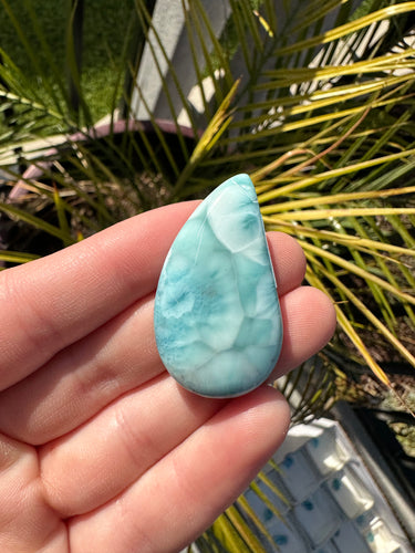 Larimar Cab*