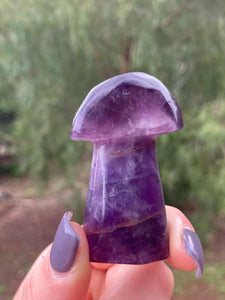 Amethyst Mushroom