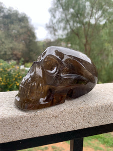 Dark Honey Citrine Skull*