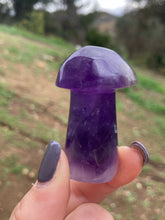 Load image into Gallery viewer, Amethyst Mushroom*