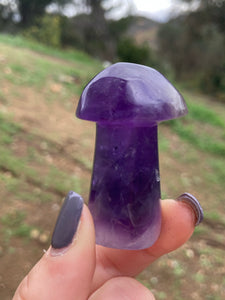 Amethyst Mushroom*