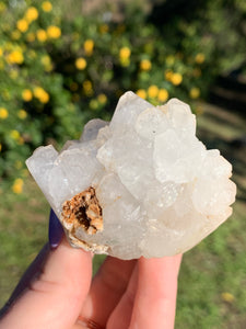 Apophyllite Standing Cluster*