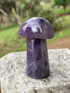 Amethyst Mushroom