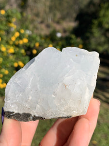 Apophyllite Standing Cluster*