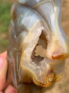 Agate with Carnelian Dolphin