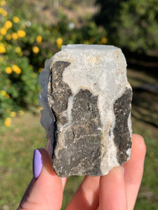 Apophyllite Standing Cluster*