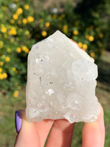 Apophyllite Standing Cluster*