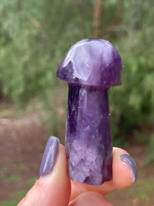 Amethyst Mushroom