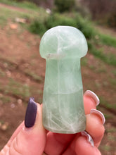 Load image into Gallery viewer, Green Fluorite Mushroom*