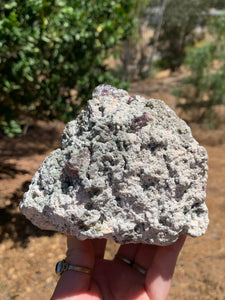 Watermelon Tourmaline in Green Mica*