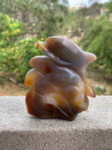 Agate with Carnelian Dolphin