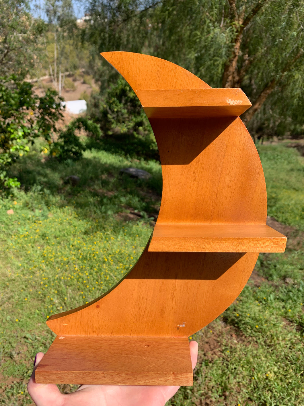 1 Standing/ Hanging Crescent Moon Shelf Facing Left Intuitively Selected