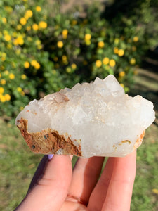 Apophyllite Standing Cluster*