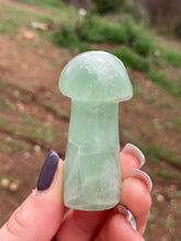 Load image into Gallery viewer, Green Fluorite Mushroom*