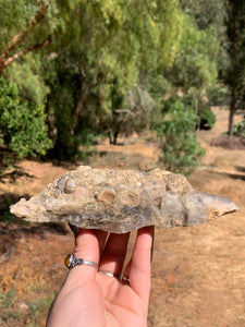 Lodolite Elestial Quartz Cluster