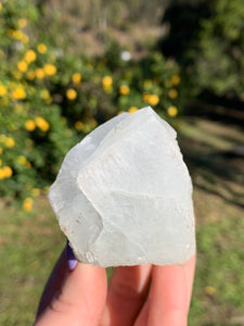 Apophyllite Standing Cluster*