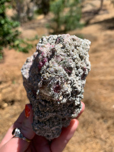 Watermelon Tourmaline in Green Mica*