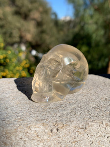 Citrine Skull*