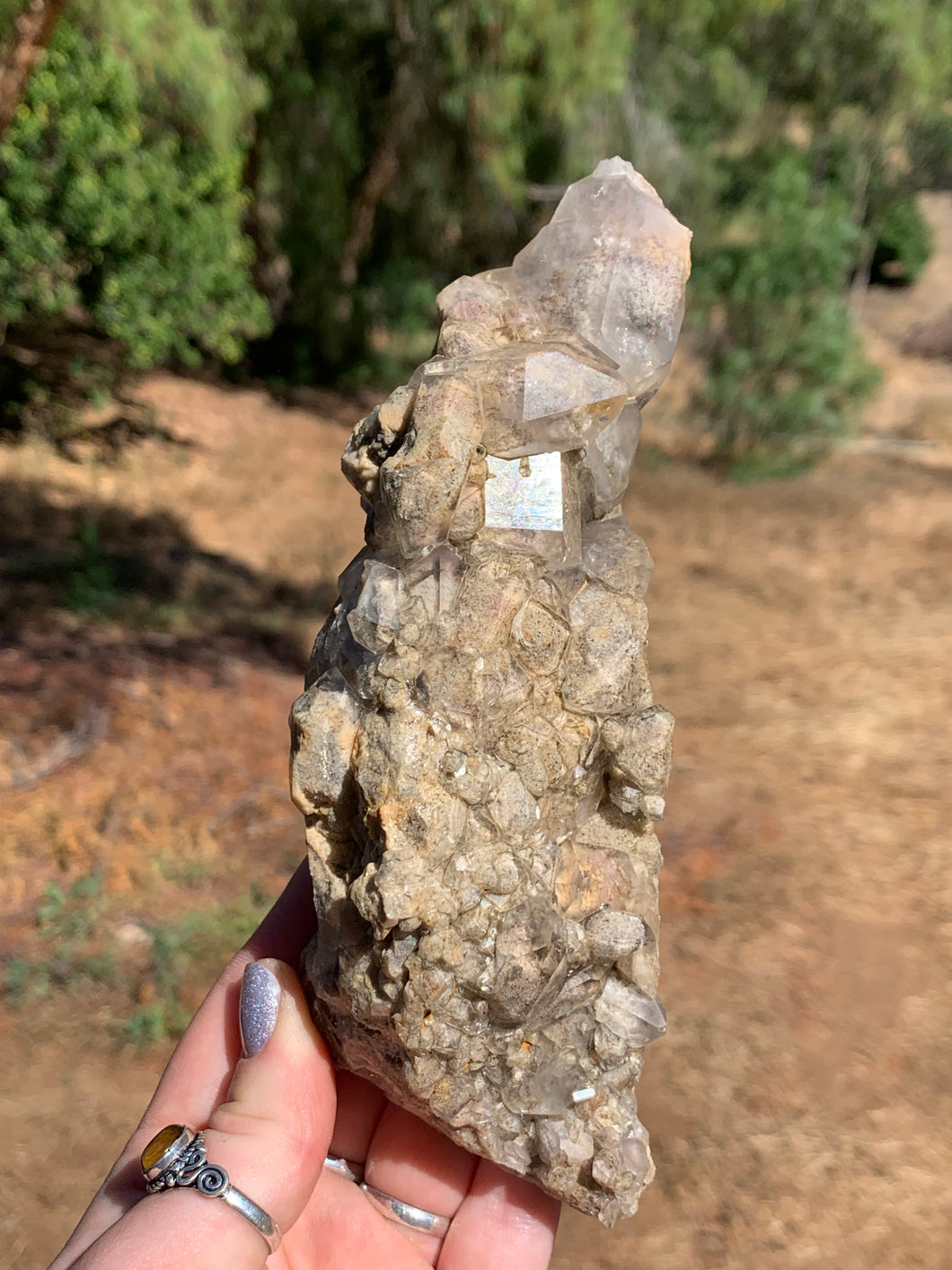 Lodolite Elestial Quartz Cluster