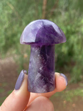 Load image into Gallery viewer, Amethyst Mushroom