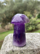 Load image into Gallery viewer, Amethyst Mushroom*