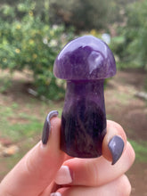 Load image into Gallery viewer, Amethyst Mushroom*