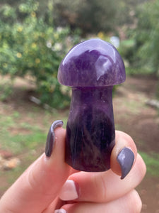 Amethyst Mushroom*