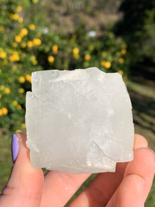 Apophyllite Cubed Standing Cluster*