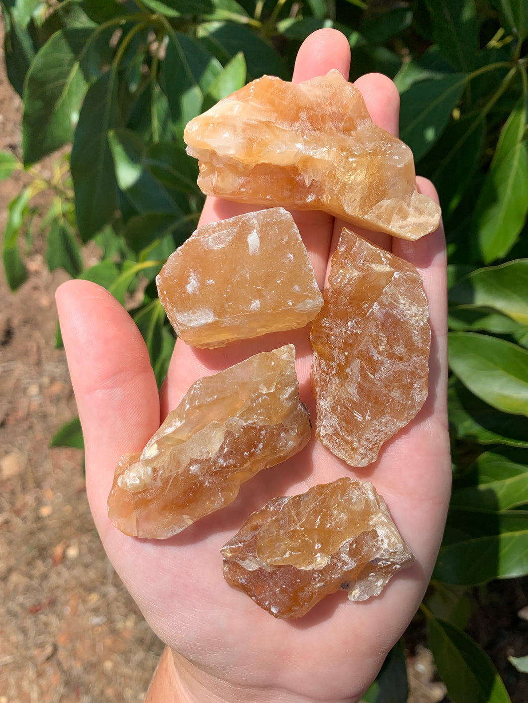 Small Honey Calcite Intuitively Selected*