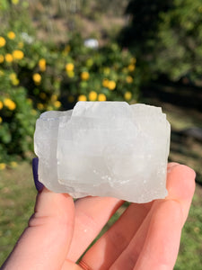 Apophyllite Cubed Standing Cluster*