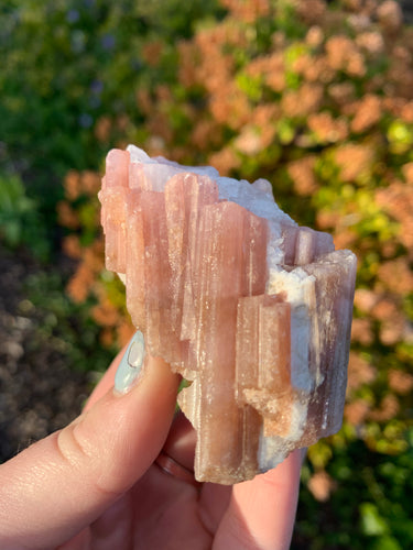 Pink Tourmaline in Quartz*