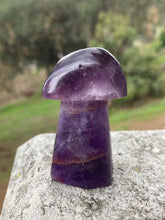 Load image into Gallery viewer, Amethyst Mushroom