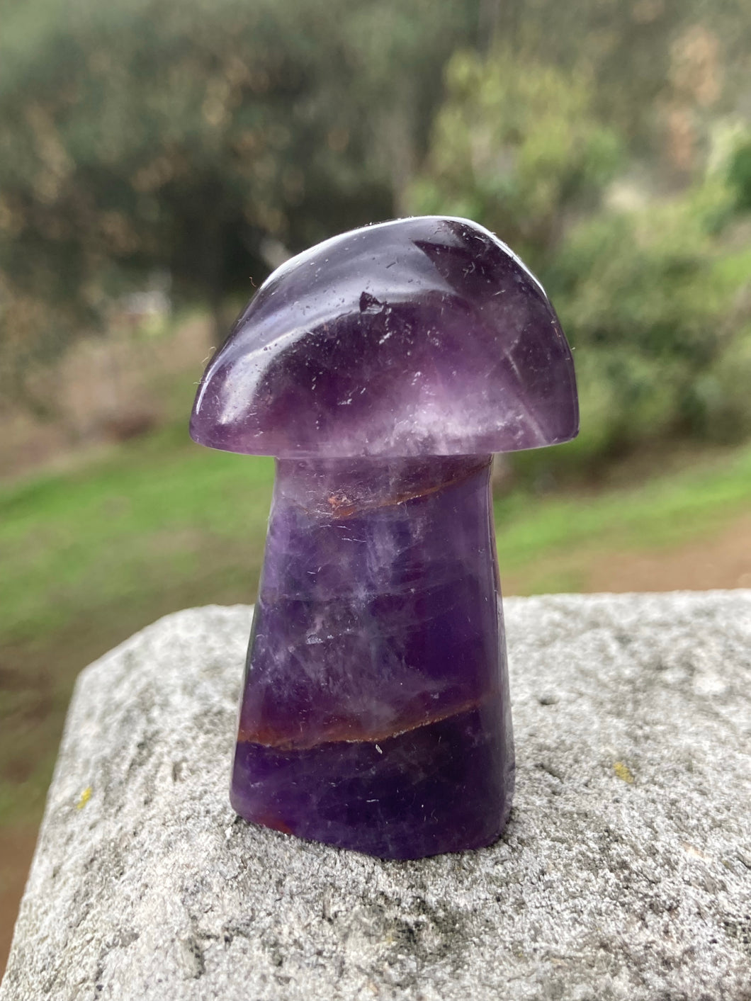 Amethyst Mushroom