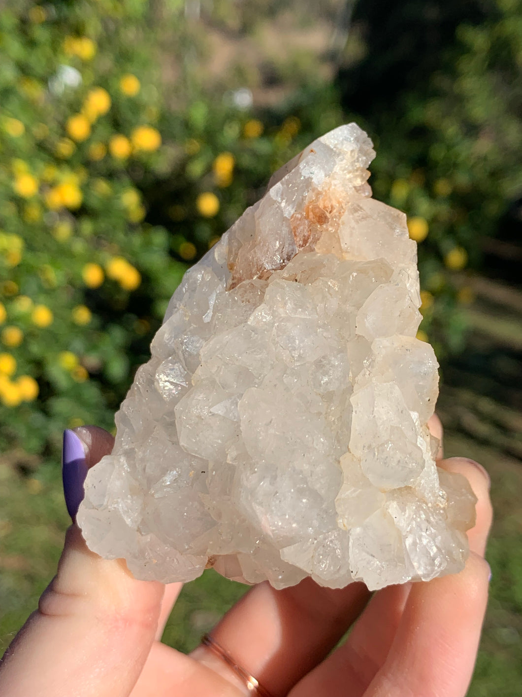 Apophyllite Standing Cluster*